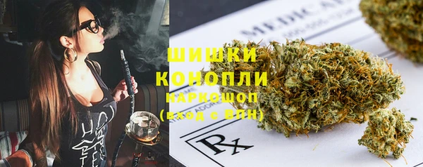 дживик Россошь